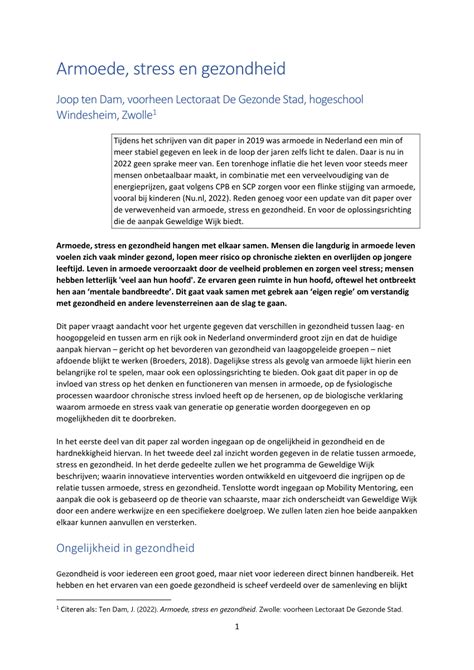 infographic die de relatie tussen armoede, stress en gezondheidsproblemen in Immerloo II weergeeft