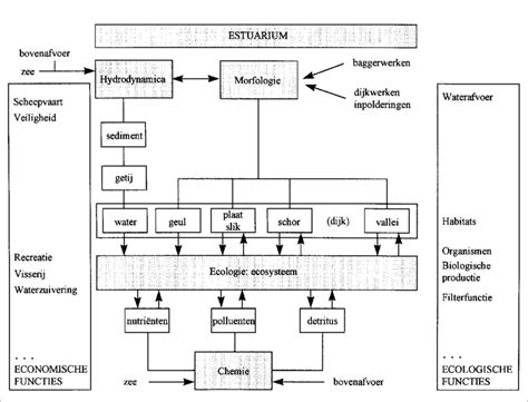 Schematische weergave van de verschillende soorten woonverzekeringen en hun dekking bij stormschade aan een schutting.