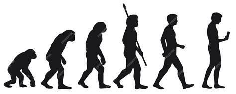 https://example.com/afbeelding-evolutie.jpg