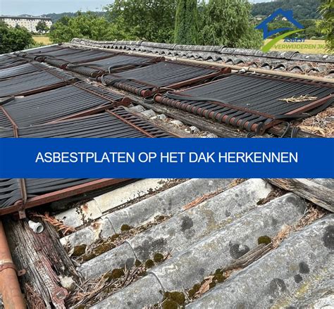 Infographic: Hoe herken je asbest in dakbedekking