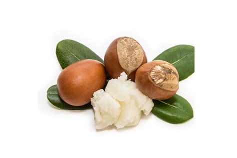 Diagram dat de samenstelling van shea butter toont