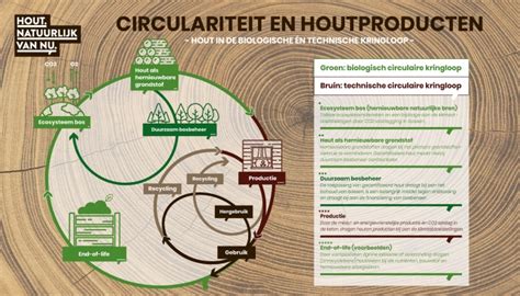 Schema: levensduur hout-beton vs. volledig hout
