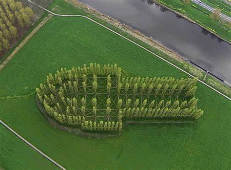 De Groene Kathedraal door Marinus Boezem