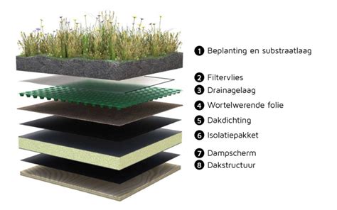 Schematische opbouw van een groendak met verschillende lagen