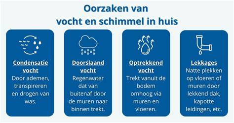 Infographic: Oorzaken van vocht en schimmel in huis