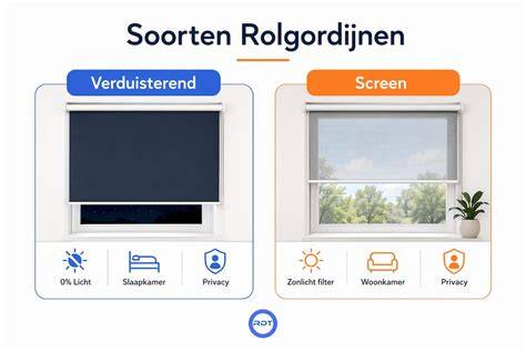 Infographic: Soorten dakraam rolgordijnen en montageopties