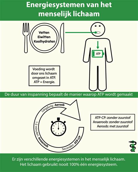 Infographic: Energiesystemen en bewonersparticipatie