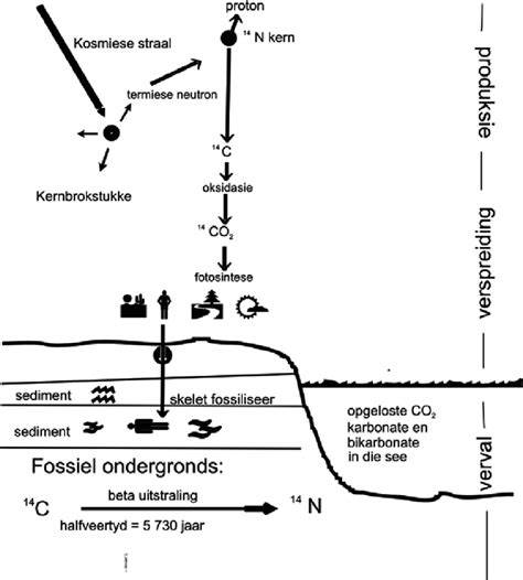 Diagram van de asbestwetten en verwijderingsroutes