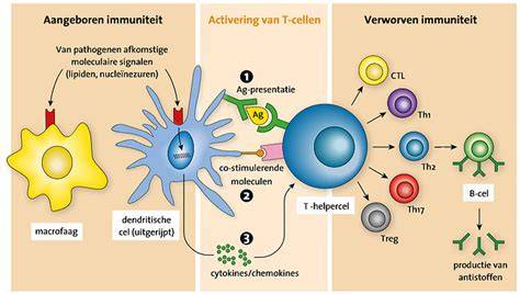 Infographic over immuunrespons en kankercel herkenning door T-cellen