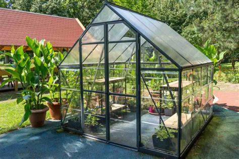 Laatste tips en algemene inrichting van een verzorgde kas