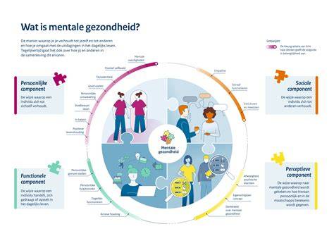 Visueel overzicht van de vier componenten van mentale gezondheid
