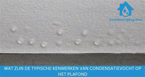 Foto: voorbeeld van vochtplekken en schimmelvorming