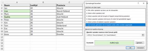 Infographic: Voorwaardelijke opmaak en rijinvoer in Excel