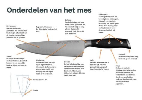 Infographic: werking en onderdelen van een messenbalk (snijvlak, ondermes, bovendeel, aandrijving)
