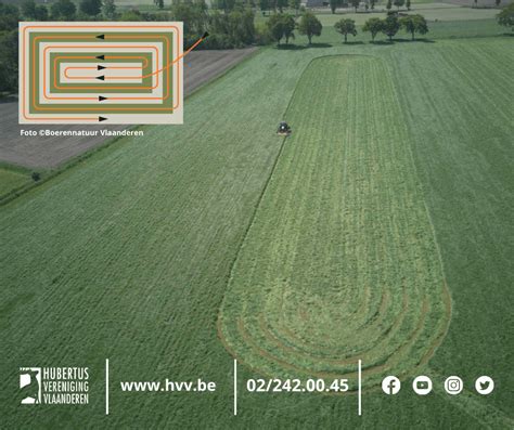 Diagram: cyclisch maaien en behoud van ongemaaide zones