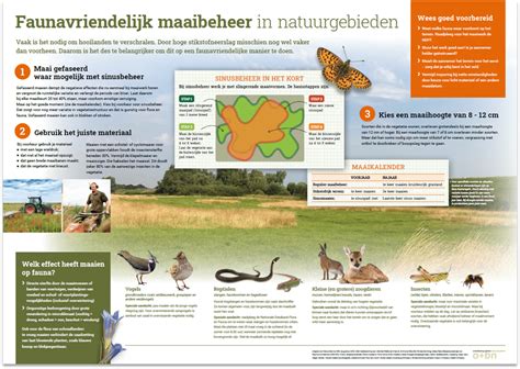 Infographic: biodiversiteitsrisico’s en maaibeheer in natuurgebieden