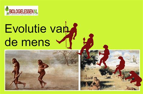 Diagram: evolutie van stucwerkmaterialen door de tijd heen
