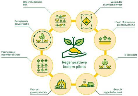 Infographic over regeneratieve landbouw en kringlooplandbouw