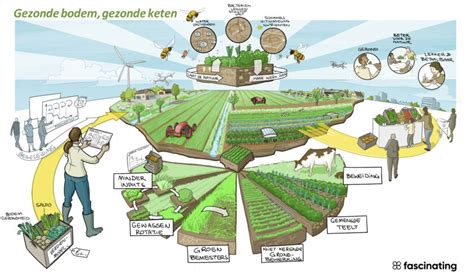 Infographic: 100 hectare regeneratief - transitiepad