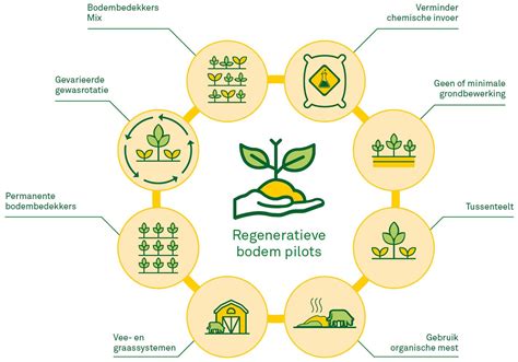 Illustratie regeneratieve en natuurinclusieve landbouw
