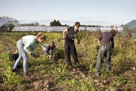 Waterbesparende en ecologische landbouw in aride regio's