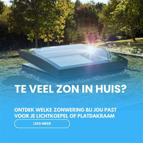 Diagram: voordelen en combinaties van lichtkoepel zonwering