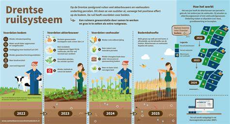 Infographic: Drentse hallehuisbouw en deenschaal van deeldeuren