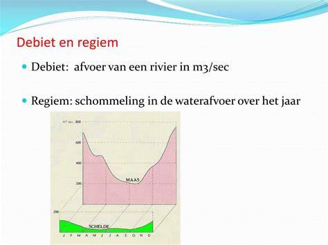 Diagram: factoren die debiet en regiem bepalen