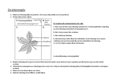 Gedetailleerde schematische tekening van een correct geplaatste bekisting met verstevigingen