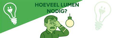 Diagram: Verdeling van lumen per ruimte