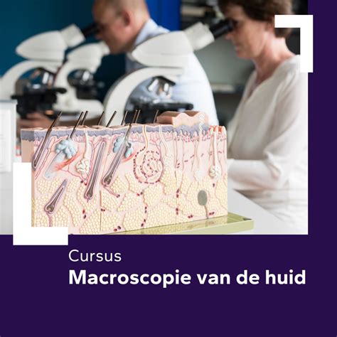 Infographic: Verschijningsbeelden van metamorfopsie bij AIWS (macroscopie, microscopie, telescopie)