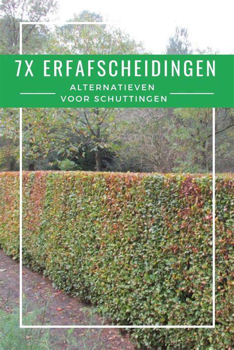 Infographic: samenvatting soorten erfafscheidingen