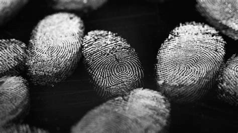 Collage van forensisch onderzoeksmateriaal: DNA-buisjes, vingerafdrukken, kogelhulzen