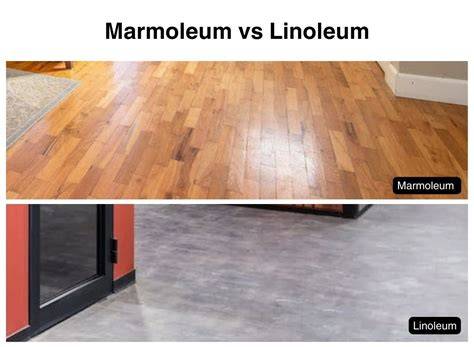 Infographic: Marmoleum vs linoleum - eigenschappen en toepassingsgebieden