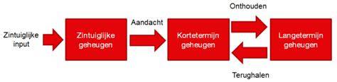 Diagram: Diversiteitsbeleid vs. lange termijn effect