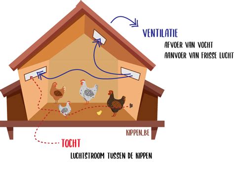 Illustratie: winterklaar kippenhok met isolatie en ventilatie