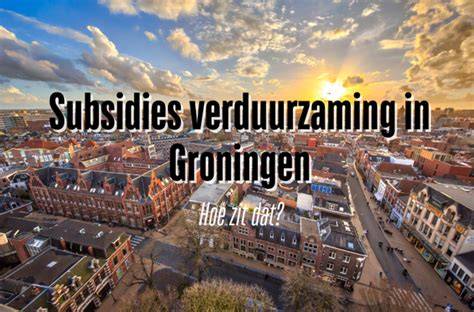 Informatieve infographic over subsidies en combinatieprojecten bij woningverduurzaming