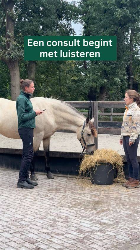 Diagram van ISDE- en SEEH-regelingen en hun interactie