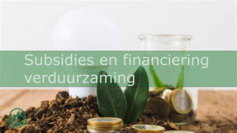 Infographic: Subsidies en financieringsopties voor verduurzaming