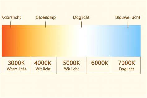 Infographic: Overzicht halogeen staande lamp opties, fittingen, bundelhoeken en kleurtemperaturen