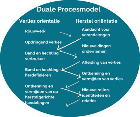 Infographic: Duale Procesmodel van Coping bij rouw