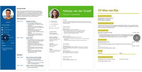 Infographic: Typen projecten op een cv en wat ze aantonen (academisch, freelancen, vertrouwelijk, bedrijfsgericht)