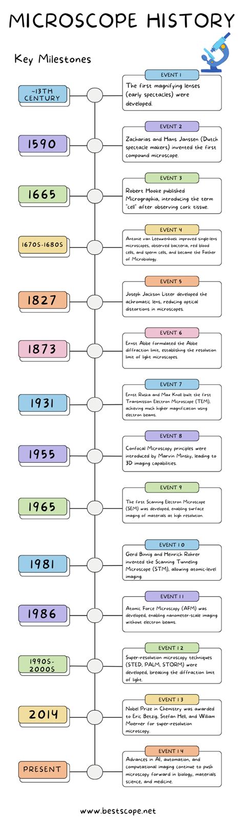 Infographic: Geschiedenis Brink/Molyn en belangrijke mijlpalen
