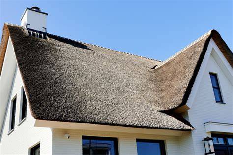 Illustratie van verschillende typen lekkages in en rondom een woning: dak, badkamer, keuken, CV-installatie.