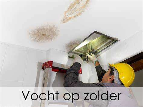 Vochtprobleem infographic