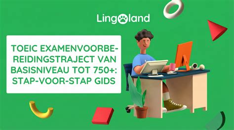 Infographic: Stapsgewijze laminaatleging, van voorbereiding tot afwerking