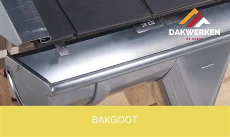Infographic: werking dakgoot-egel, ontwerp en installatiestappen
