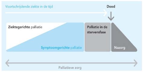 Diagram: behandelpaden bij mesothelioom (chirurgie, chemotherapie, immunotherapie, palliatieve zorg)