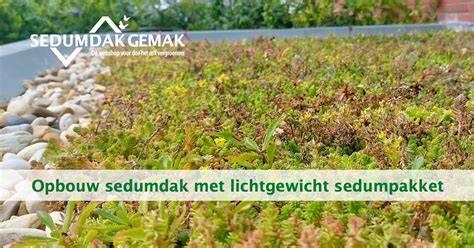 Foto: eerste dagen na aanleg sedumdak met sedummatten uitgerold