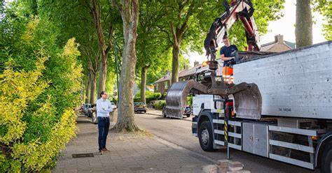 Infographic: Stap-voor-stap offerteproces bij Bernheze regio